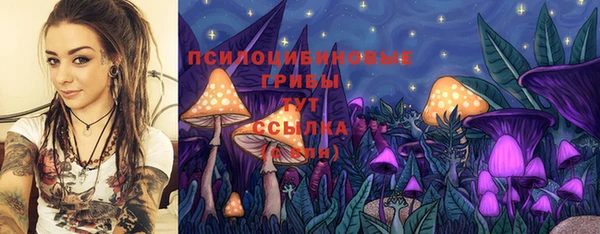 jwh Белокуриха